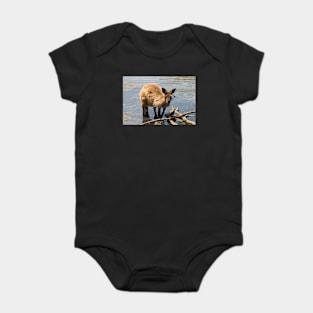 Cooling Off! Western Grey Kangaroo Baby Bodysuit